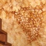 Click to get a bigger version of this photo!